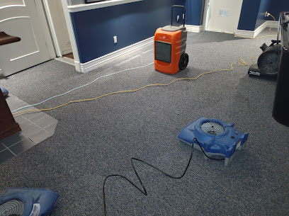 Negocio Courteous Carpet Care
