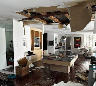 Dallas Home Mold Water Fire Damage