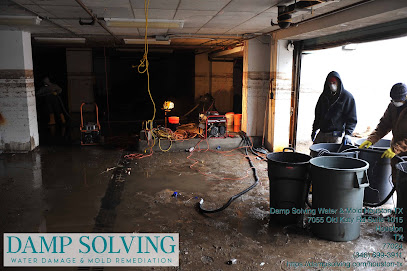 Damp Solving Water & Mold
