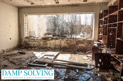 Damp Solving Water & Mold San Antonio