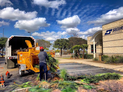 Dream Tree Services