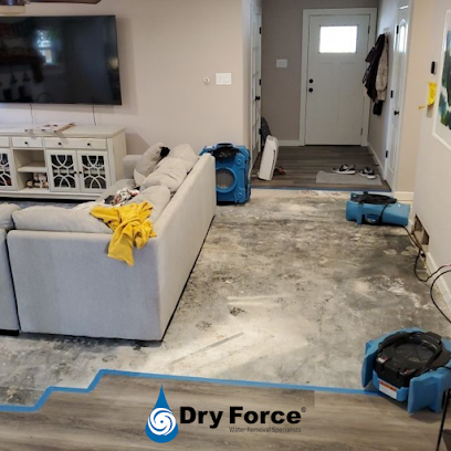 Dry Force - Houston Water Damage Restoration