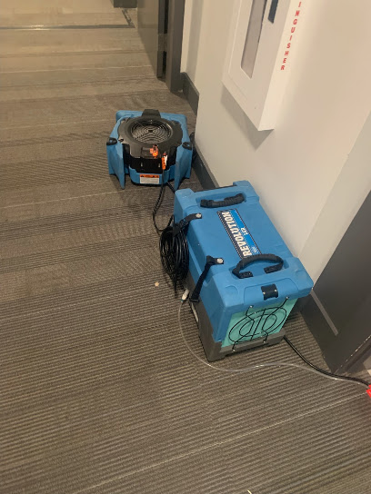 Dry Rely Water Damage Restoration