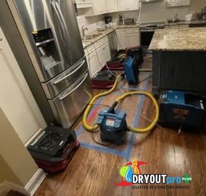 Negocio Dryoutpro Plus