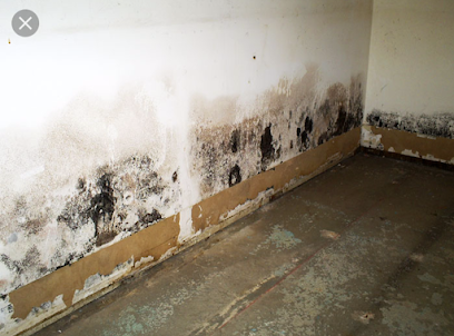 Negocio Drywizard Restoration & Drywall Inc.