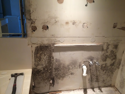 Negocio Dryzone Water Damage & Mold Clean Up Experts In Naples
