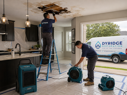 Dyridge Restoration