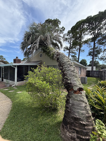 Eager Beaver Professional Tree Care