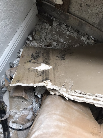 East Coast Water And Mold Inc