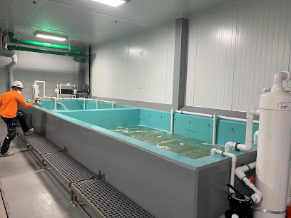Ecc - East Coast Coatings