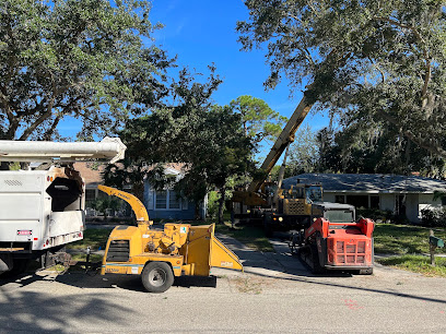 Ecopro Outdoor Solutions: Tree Service Provider