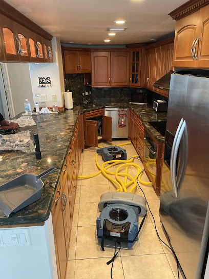 Negocio Ediss Mold Remediation