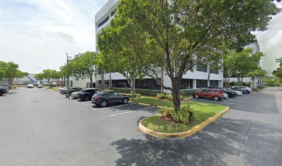 Negocio Enge Mold Removal & Mold Remediation Service Florida