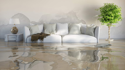 Expert Environmental Fl