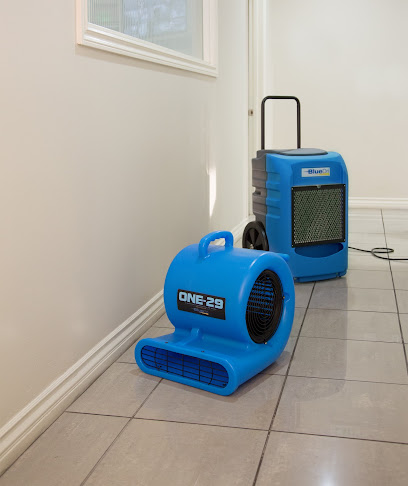 Expert Water Removal