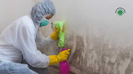 Express Mold Removal Miami