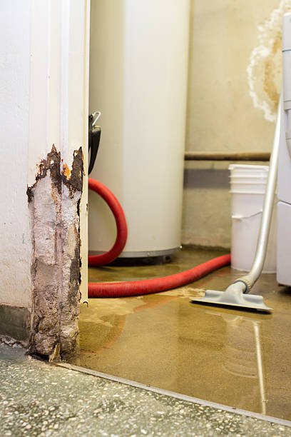 Negocio Express Water Damage Restoration Key Biscayne