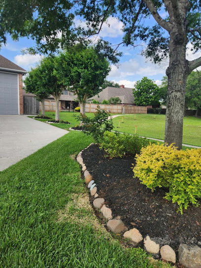 Fallen Branches - Trees And Lawn Care