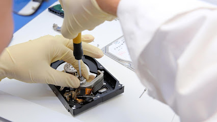 Flashback Data Recovery - Array