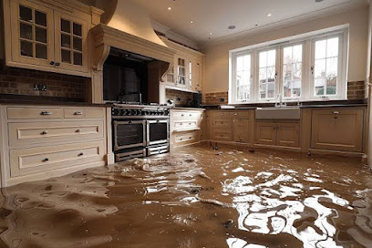 Negocio Flood Damage Restoration Pros
