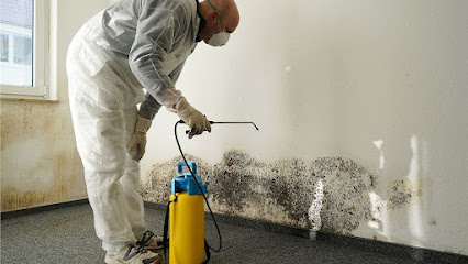 Negocio Flood Pros Usa