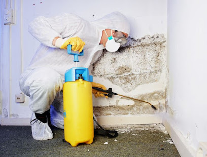 Flood Pros Usa