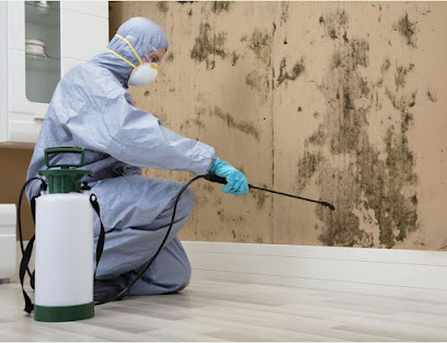 Flood Pros Usa