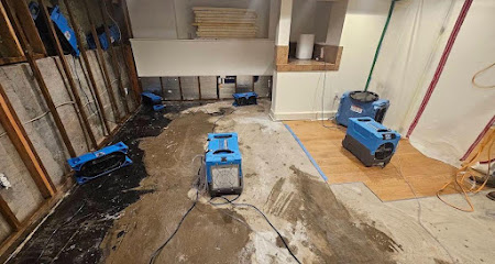 Negocio Flood Recovery