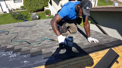 Florida Roofing Pros