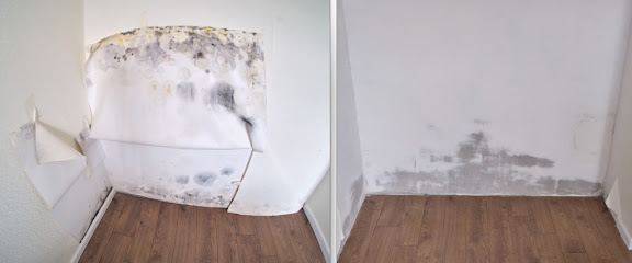 Negocio Frontier Mold Removal & Remediation Pembroke Pines Fl