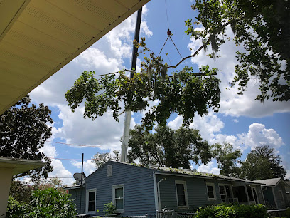 Genesis Tree Care