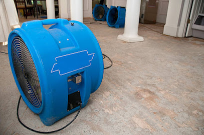 Negocio Homestead Water Damage Restoration Experts