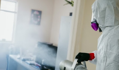 Negocio Immerz Water Damage