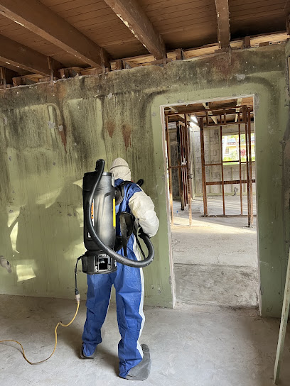 Instacure Mold Remediation