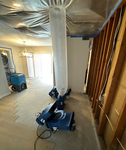 Negocio Intensa Dry Mold & Water Restoration