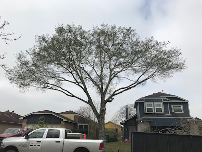 J.s Tree Service