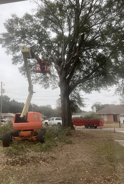 Negocio Kenneth Nobles Tree Service