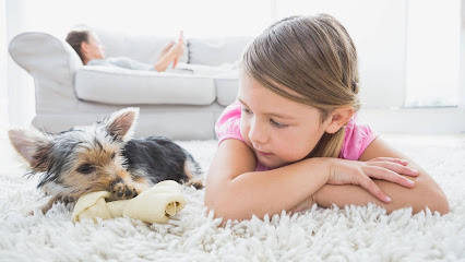 Negocio Leona's Carpet Tile & Upholstery Cleaning