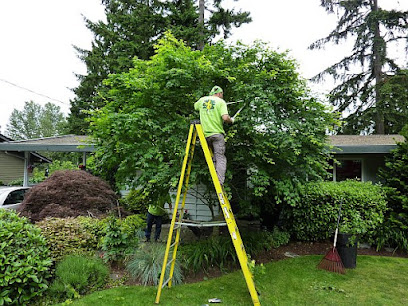 Luxury Tree Service & Landscaping