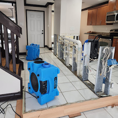 Mauro Mold Remediation