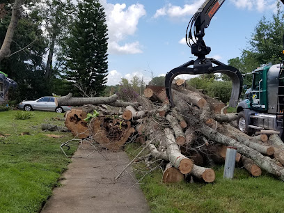 Mccullough Tree Service