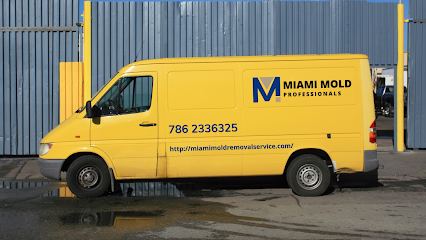 Miami Mold Professionals