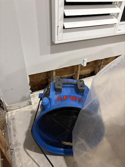 Miami Mold Services