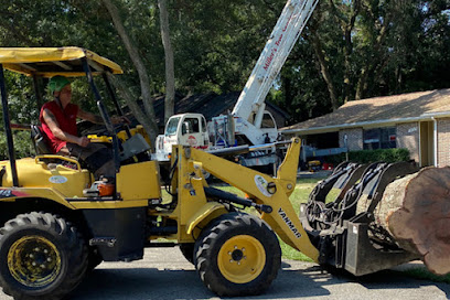 Miller's Tree Service