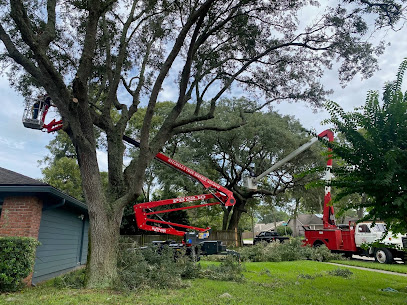 Mitchell's Tree Service