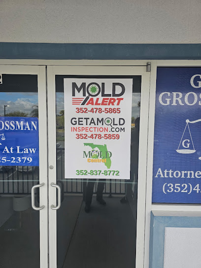 Negocio Mold Alert - The Mold Experts