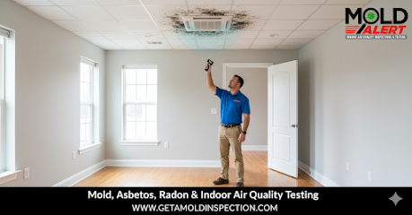 Negocio Mold Alert - The Mold Experts
