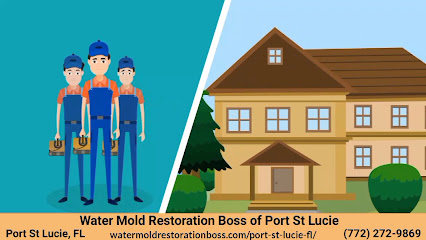 Mold Boss Of Port St Lucie