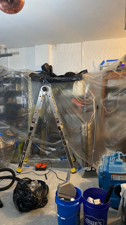 Mold & Duct Cleaning Experts