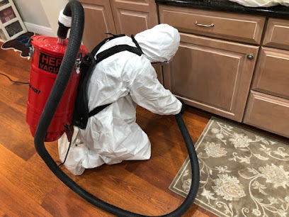 Mold Experts Now